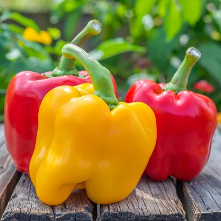 Paprika bloková – farebná zmes (červená, žltá, fialová, oran..